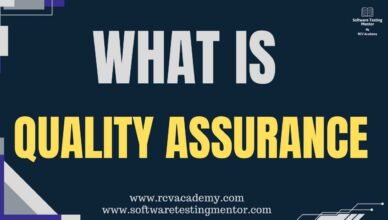 What is Quality Assurance?