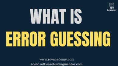 What is Error Guessing