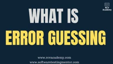 What is Error Guessing