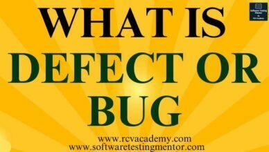 What is a Defect or Bug?