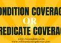 Condition Coverage or Predicate Coverage