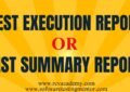 Test Execution Report or Test Summary Report