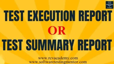 Test Execution Report or Test Summary Report