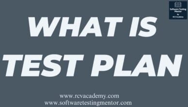 What is Test Plan?