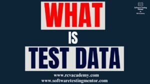 What is Test Data