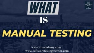 What is Manual Testing | With Examples