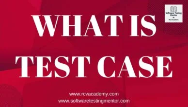 What is a Test Case