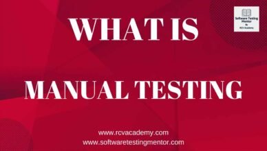 What is Manual Testing | With Examples